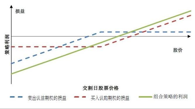 2024年度全国三八红旗手谢冰梅：“回游青年”反哺桑梓 挑起乡村振兴担子